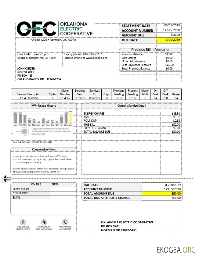 USA OEC electricity utility bill template in Word and PDF format